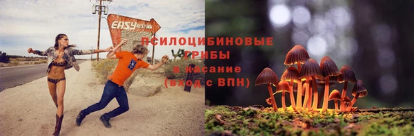 гашик Армянск