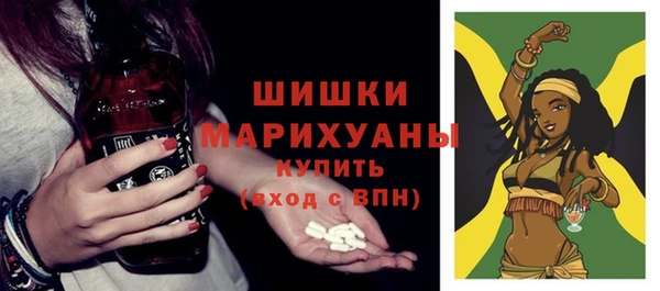 spice Аркадак