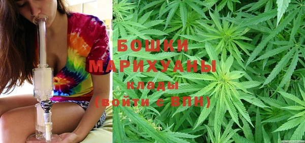 spice Аркадак