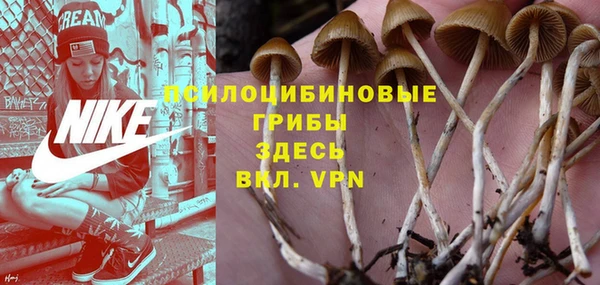 прущая мука Арсеньев