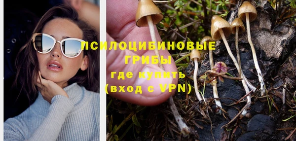 spice Аркадак