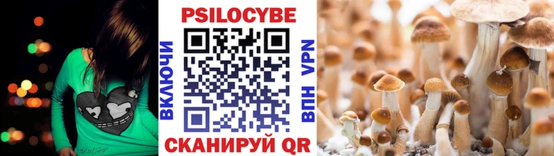 купить закладку  Вяземский  Галлюциногенные грибы Psilocybine cubensis 